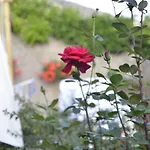 Pensionat Le Clos Des Pommes Bioncourt