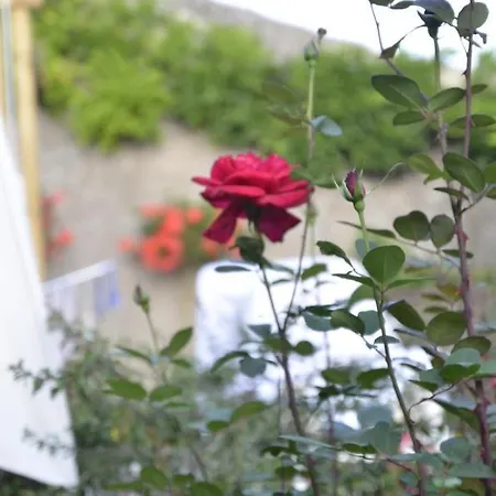 Pensión Le Clos Des Pommes Bioncourt