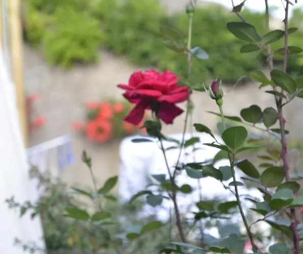 Gasthof Le Clos Des Pommes Bioncourt